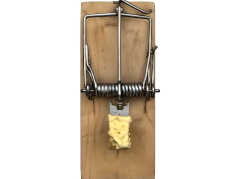 Classic Wooden Snap Rat Trap with Cheese Bait 3D Model