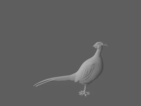 Fais&atilde;o comum macho com plumagem iridescente Modelo 3D