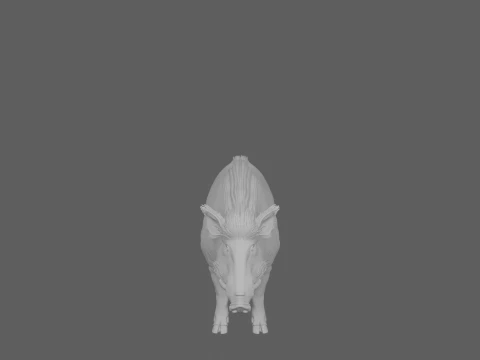 Stocky Wild Boar with Coarse Bristles Alert Pose 3D Model