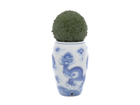 Chinese gemberpot keramische plantenbak met vormsnoei 3D Model