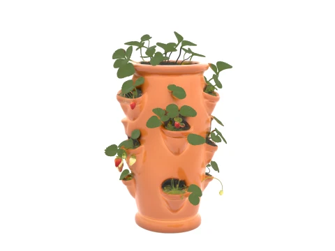 Vaso per fragole in ceramica con frutti maturi Modello 3D