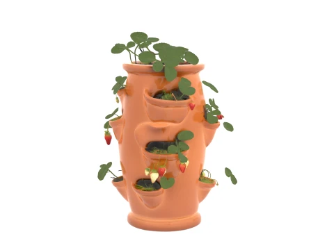 Vaso per fragole in ceramica con frutti maturi Modello 3D