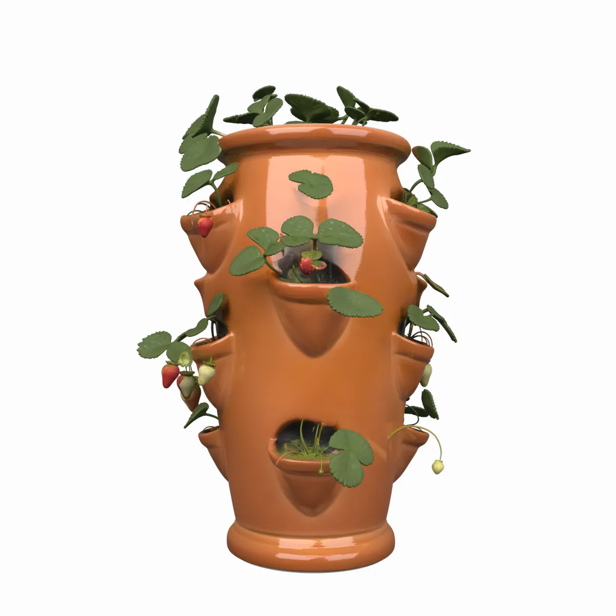 Vaso per fragole in ceramica con frutti maturi Modello 3D .c4d .max .obj .3ds .fbx .stl .blend