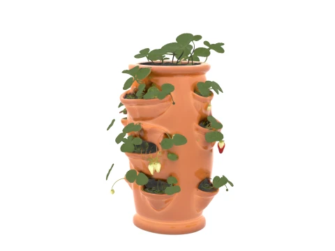 Vaso per fragole in ceramica con frutti maturi Modello 3D