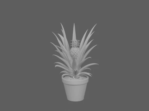 Pineapple Plant with Developing Fruit Terracotta Pot 3D Model