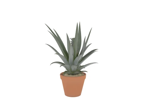Pineapple Plant with Developing Fruit Terracotta Pot 3D Model