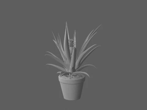 Pineapple Plant with Developing Fruit Terracotta Pot 3D Model