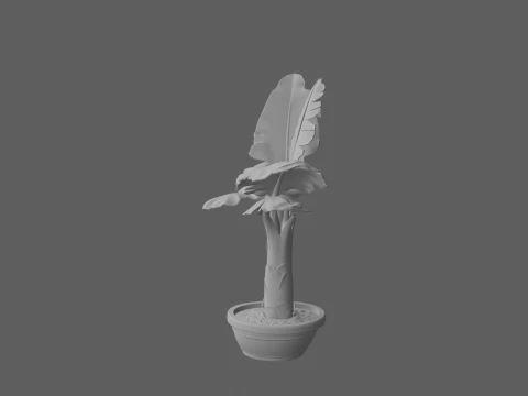 Potted Banana Plant with Large Torn Leaves 3D Model