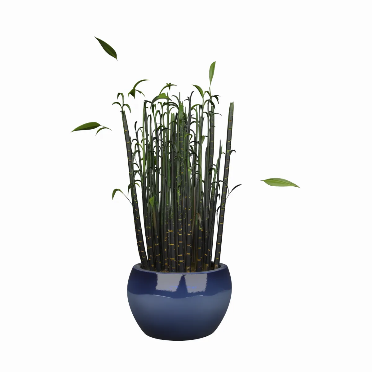 Clump of Black Bamboo in Midnight-Blue Ceramic Pot 3D Model .c4d .max .obj .3ds .fbx .stl .blend 