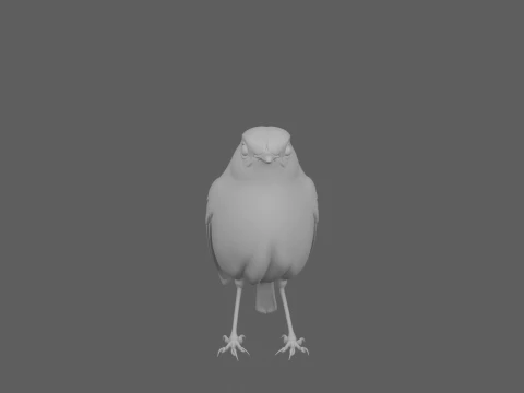 European Robin with Orange Breast in Perching Pose 3D Model
