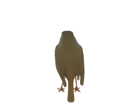 European Robin with Orange Breast in Perching Pose 3D Model