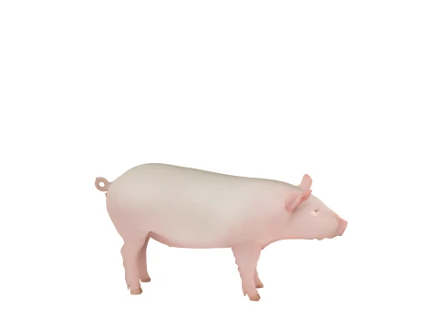 Grande Porco Dom&eacute;stico Rosa Em P&eacute; Em Palha Modelo 3D