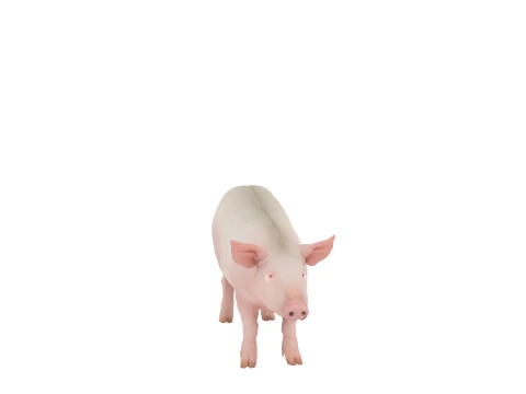 Grande Porco Dom&eacute;stico Rosa Em P&eacute; Em Palha Modelo 3D