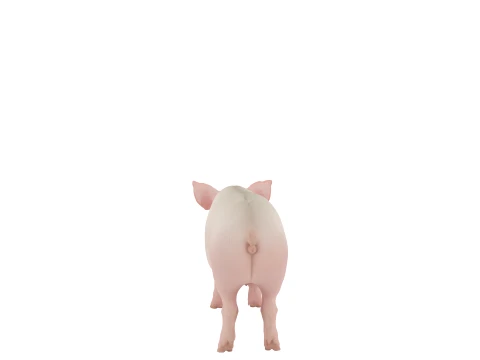 Grande Porco Dom&eacute;stico Rosa Em P&eacute; Em Palha Modelo 3D