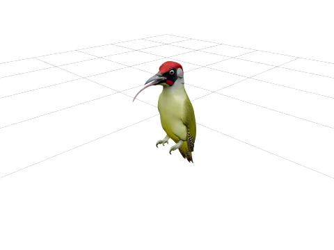 Vivid Green Woodpecker with Crimson Crown 3D Model