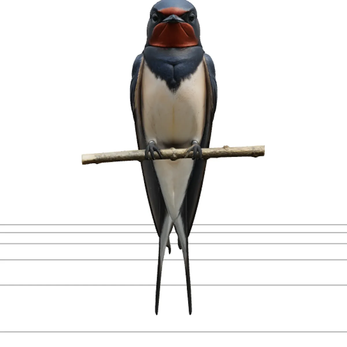 Barn Swallow with Steel-Blue Back and Forked Tail 3D Model .c4d .max .obj .3ds .fbx .stl .blend 