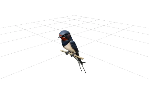 Barn Swallow with Steel-Blue Back and Forked Tail 3D Model