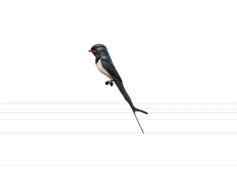 Barn Swallow with Steel-Blue Back and Forked Tail 3D Model