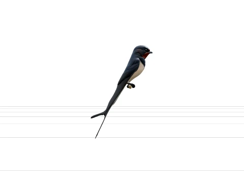 Barn Swallow with Steel-Blue Back and Forked Tail 3D Model