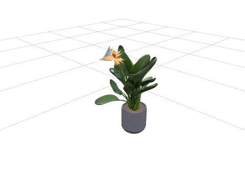 Bird of Paradise Strelitzia in Grey Concrete Planter 3D Model