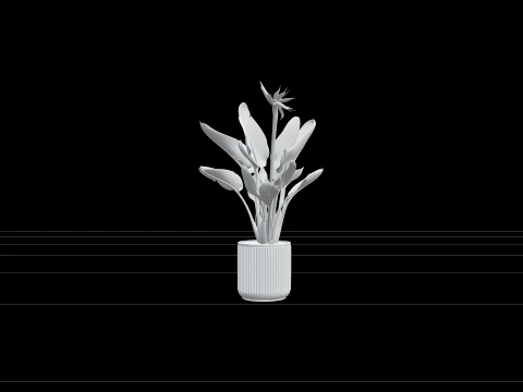 Bird of Paradise Strelitzia in Grey Concrete Planter 3D Model
