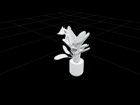 Bird of Paradise Strelitzia in Grey Concrete Planter 3D Model