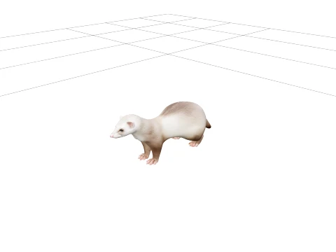 Fretka domowa w pozycji ostrzegawczej z kremem i piaskowym futrem Model 3D