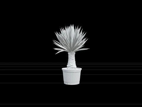 Yucca Elephantipes in Ribbed Black Plastic Nursery Pot 3D Model