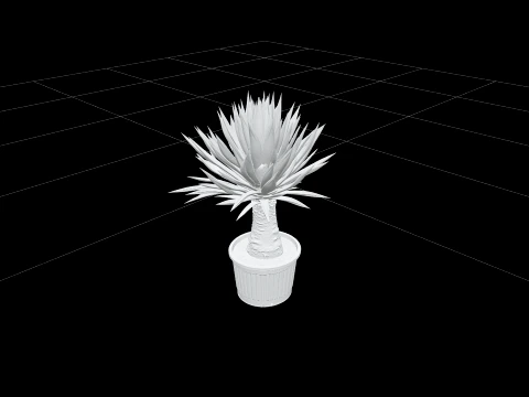 Yucca Elephantipes in Ribbed Black Plastic Nursery Pot 3D Model