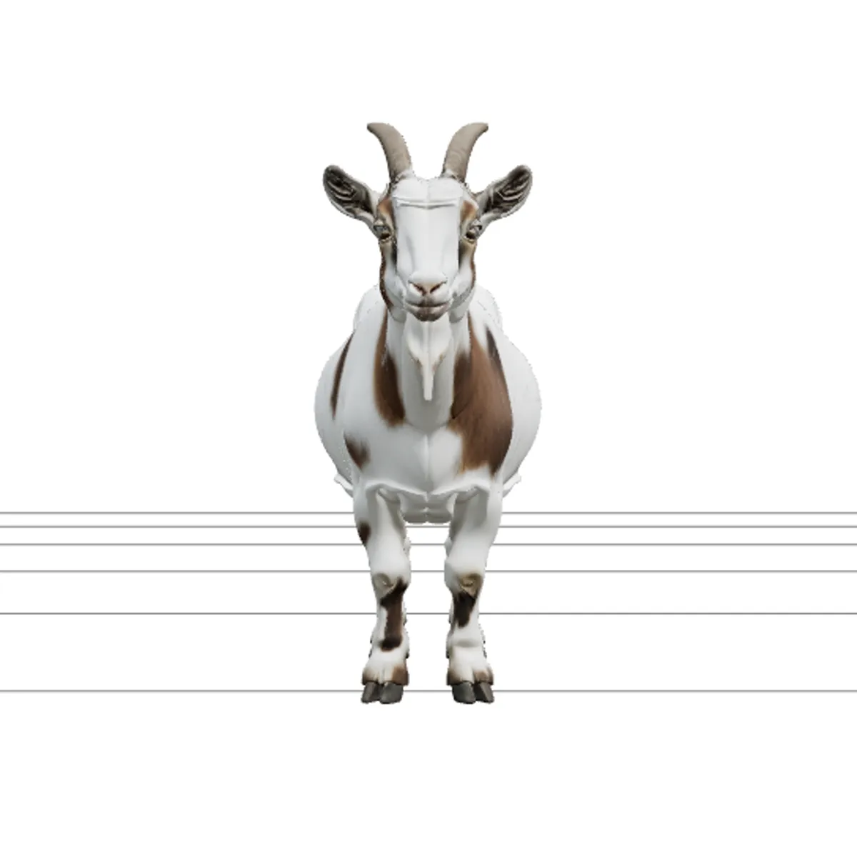 White and Brown Pygmy Goat with Small Curved Horns 3D Model .c4d .max .obj .3ds .fbx .stl .blend