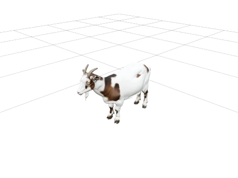 White and Brown Pygmy Goat with Small Curved Horns 3D Model