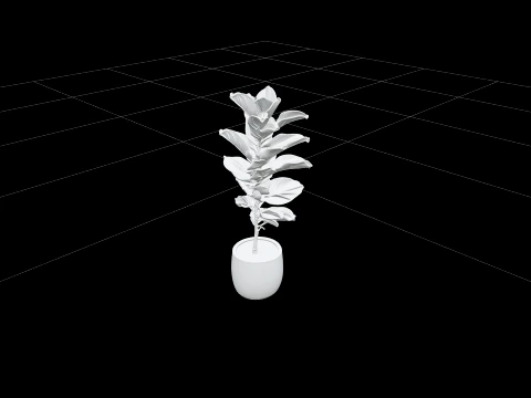 Tall Ficus Lyrata Fiddle Leaf Fig in Matte White Pot 3D Model