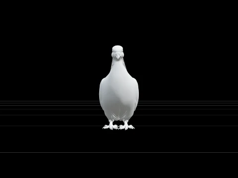 Wood Pigeon with Grey-Blue Plumage and White Neck Patch 3D Model