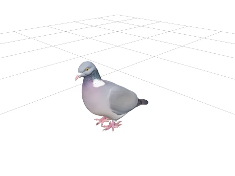 Wood Pigeon with Grey-Blue Plumage and White Neck Patch 3D Model