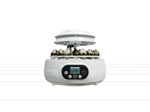Tabletop Automatic Egg Incubator with Clear Dome 3D Model