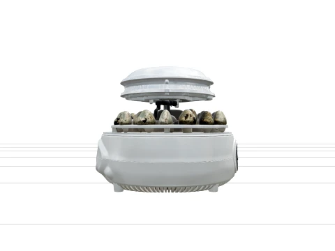 Tabletop Automatic Egg Incubator with Clear Dome 3D Model