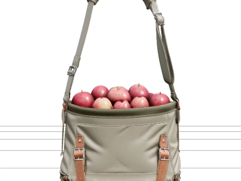Professionele canvas fruitplukzak met appels 3D Model