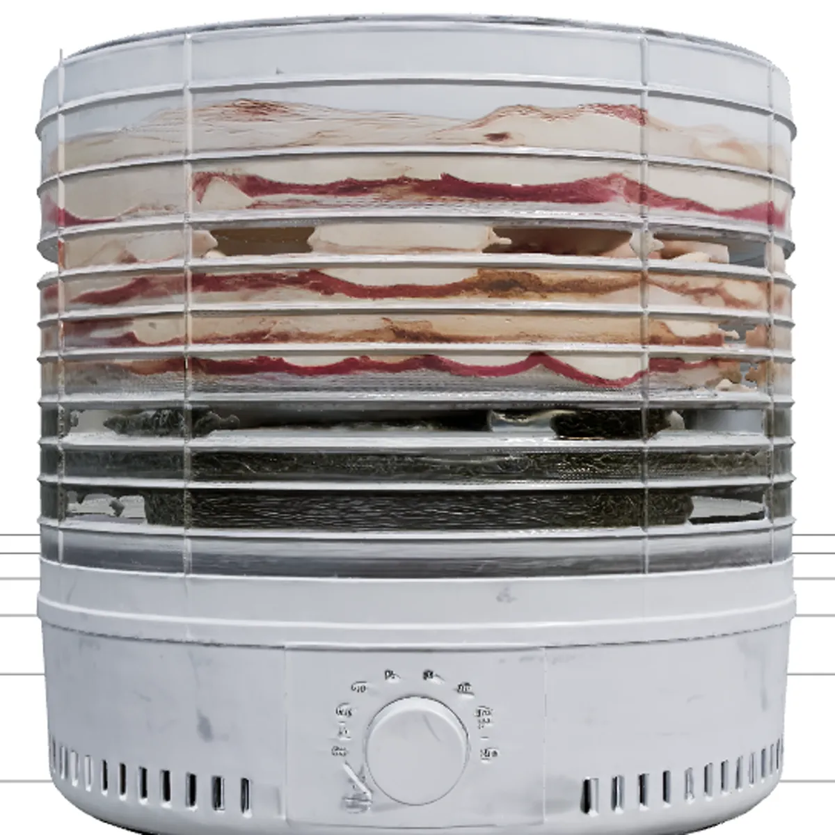 Multi-Tier Electric Food Dehydrator with Apple Slices 3D Model .c4d .max .obj .3ds .fbx .stl .blend 
