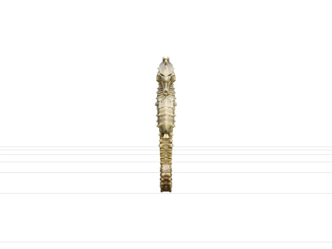 High Detail Seahorse Model With Bony Plates And Curled Tail 3D Model