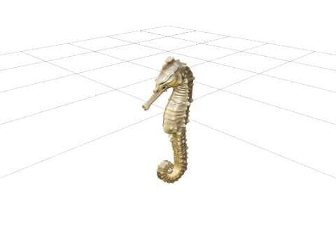 High Detail Seahorse Model With Bony Plates And Curled Tail 3D Model