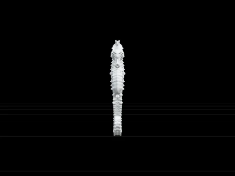 High Detail Seahorse Model With Bony Plates And Curled Tail 3D Model