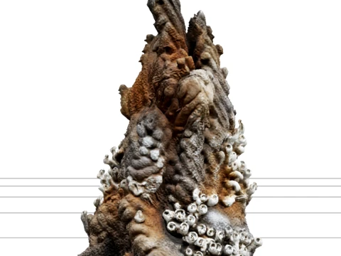 Deep Sea Hydrothermal Vent Chimney Model With Tube Worms 3D Model