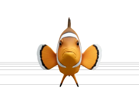 Modèle de retournement de poisson clown, poisson à bande blanche orange, référence 3D Modèle 3D