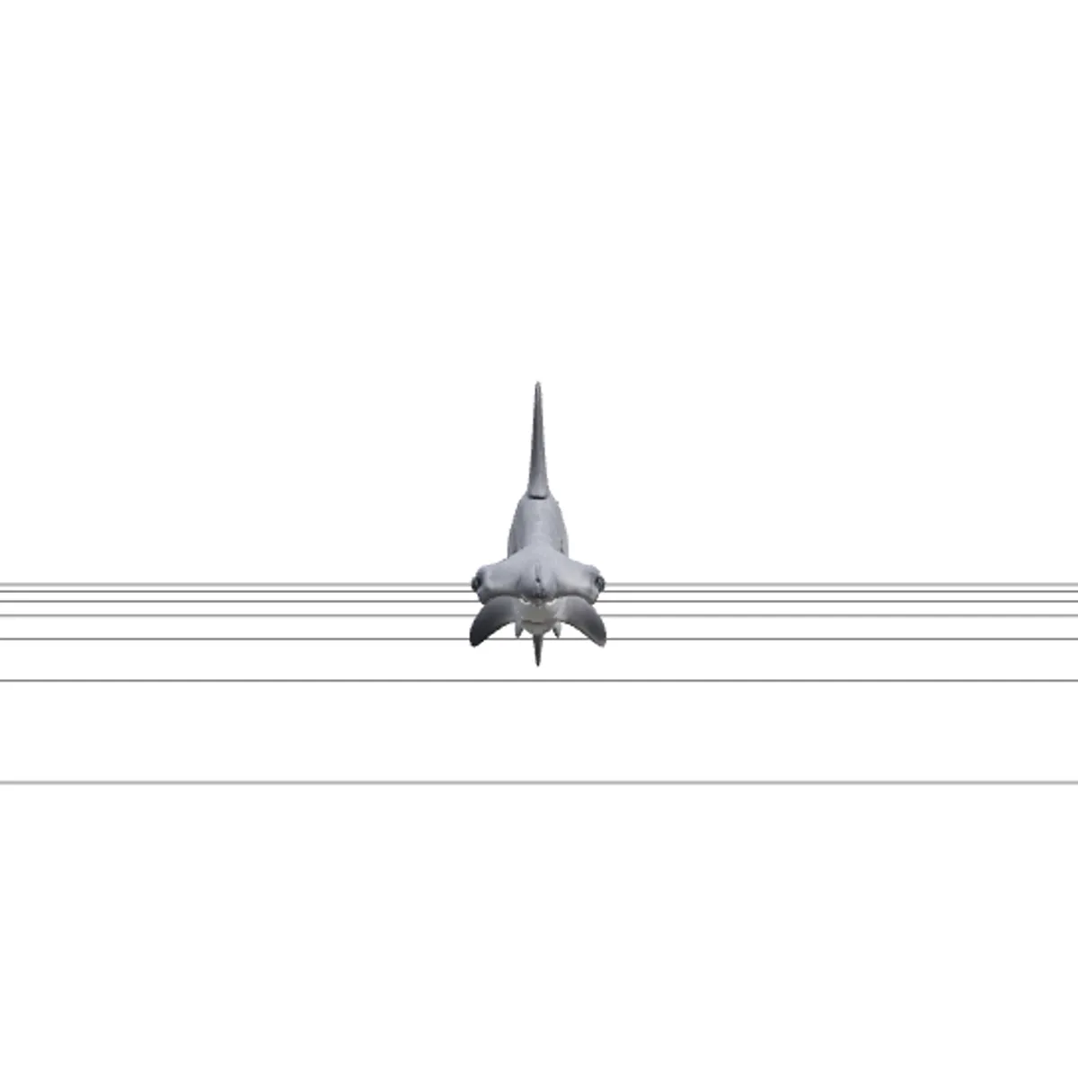 High Detail Grey Hammerhead Shark Model Optimized Ready 3D Model .c4d .max .obj .3ds .fbx .stl .blend 
