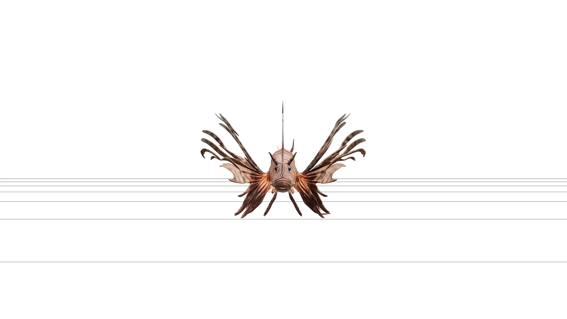Lionfish Model Realistic High Detail LowPoly Asset For Games 3D Model .c4d .max .obj .3ds .fbx .stl .blend