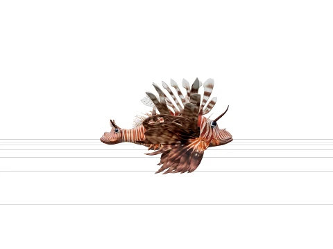 Lionfish Model Realistic High Detail LowPoly Asset For Games 3D Model