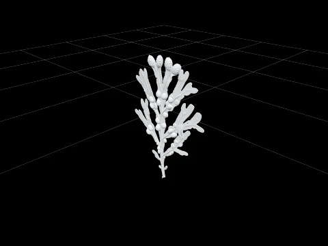 Modèle d'algues de fucus de vessie, analyse macro détaillée, haute résolution Modèle 3D