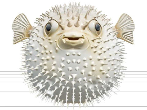 Pufferfish Model With Fine Spines And Translucent Fins 3D Model