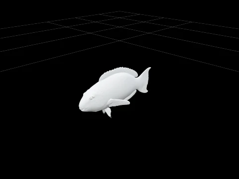 Poisson perroquet écailles vibrantes bec bouche nageoires étendues Modèle 3D