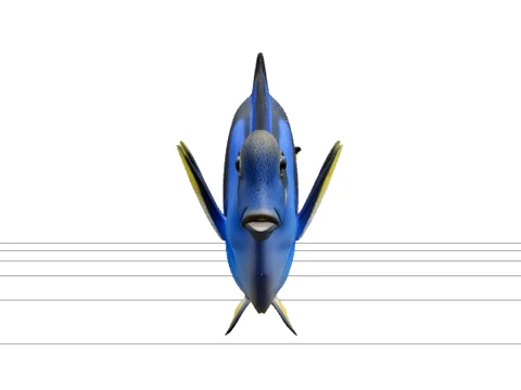 Blue Surgeonfish Tang Model High Detail Realistic Asset 3D Model